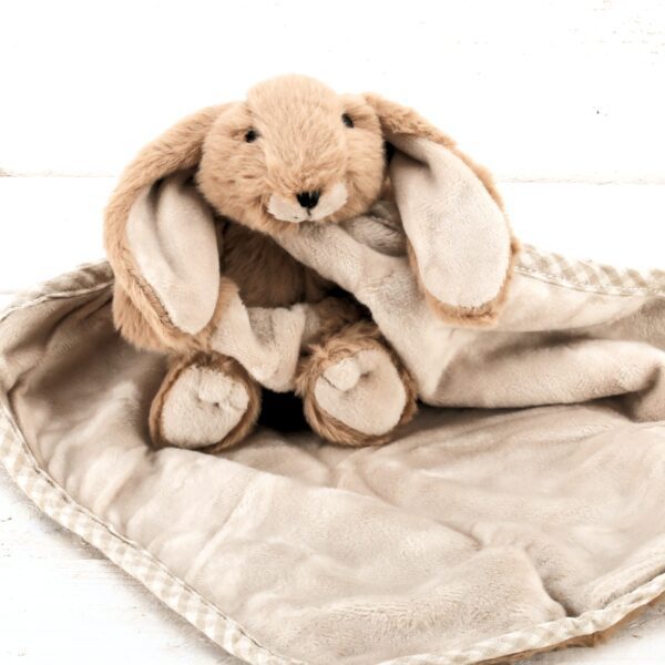 Bunny Toy Soother Brown