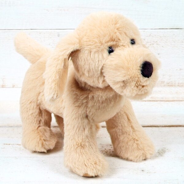 Golden Puppy Dog