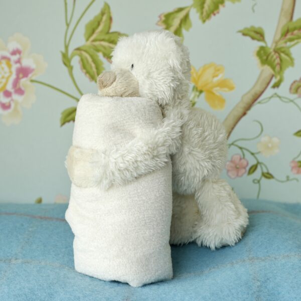 Bear Toy Soother - Image 2