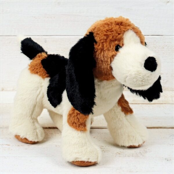 Hound Puppy Dog