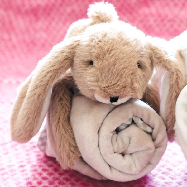 Bunny Toy Soother Brown - Image 3