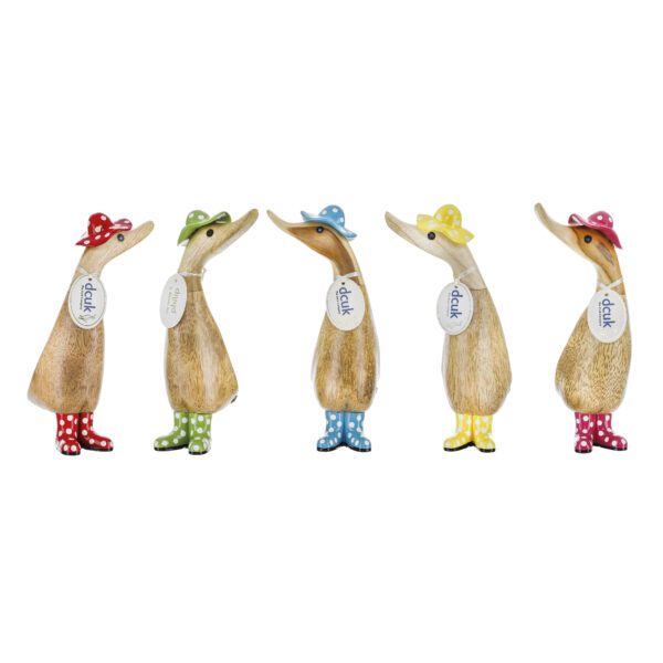 DCUK Ducklings – Spotty Hats and Welly Boots Green - Image 2