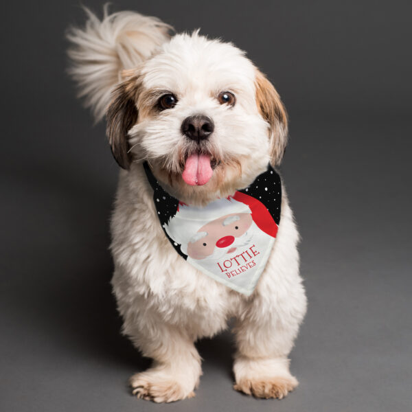 Personalised Santa Dog Bandana - Image 3