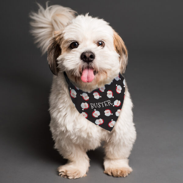 Personalised Santa Black Dog Bandana - Image 5