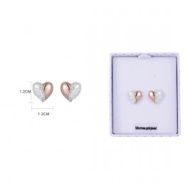 Equilibrium Textured heart earrings