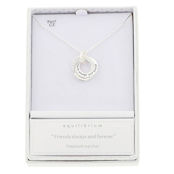 Entwinded Sentiment Silver Plated Necklace Friends